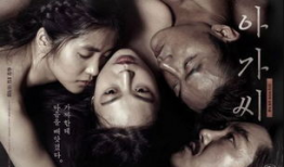 性生活片视频,性生活片视频深度解析