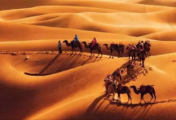 丝绸之路视频,探寻古代商贸文明的辉煌足迹