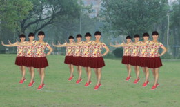 十六步广场舞教学视频,轻松入门，舞动健康生活