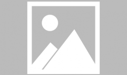 免费视频下载app,一网打尽热门视频，轻松保存至手机