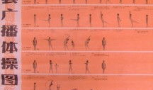 第六套广播体操视频,活力四溢，健康生活新篇章