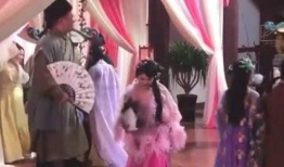 怡红院视频,揭秘古代园林中的繁华与风情