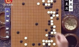 围棋视频,精彩瞬间回顾与策略解析