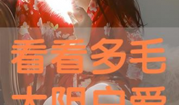 多毛阴户视频,私密部位的生理与美学探讨