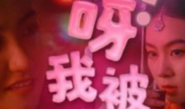 视频一区在线观看,一区热门视频在线观看精选回顾