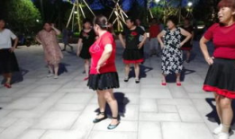 广场舞蹈视频大全,舞动人生，欢乐无限