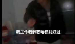 乱系列视频,揭秘混乱中的秩序之美