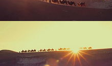 丝绸之路视频,探寻古代商贸文明的辉煌足迹