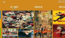 青桔视频,揭秘短视频时代的魅力与挑战