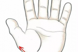 腹部按摩手法视频,轻松掌握健康养生秘诀